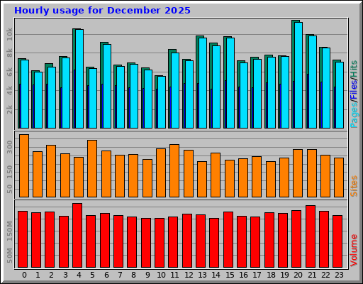 Hourly usage for December 2025 Hourly usage for December 2025