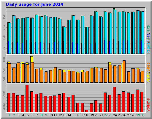 Daily usage for June 2024