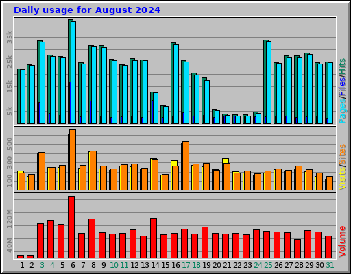 Daily usage for August 2024