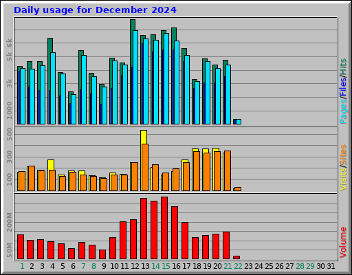 Daily usage for December 2024