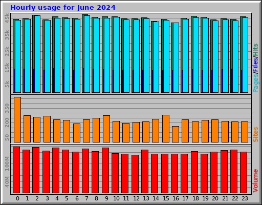Hourly usage for June 2024