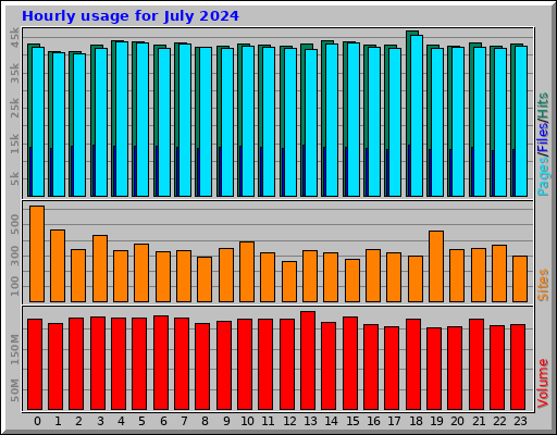 Hourly usage for July 2024