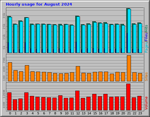 Hourly usage for August 2024