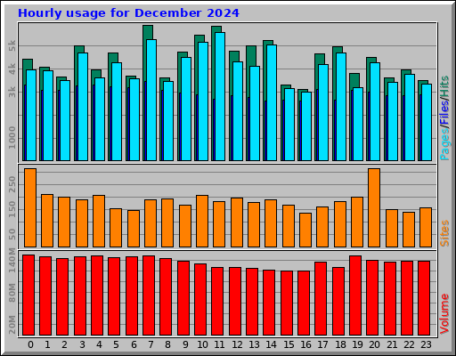 Hourly usage for December 2024