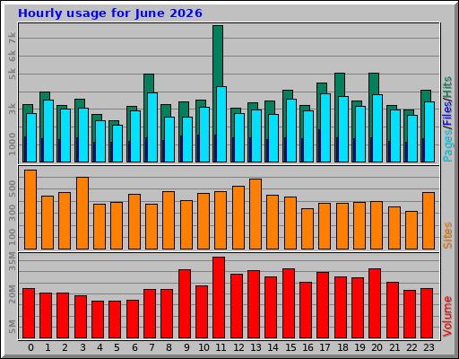 Hourly usage for June 2026